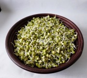 Moong Sprout Masala Recipe » Maayeka